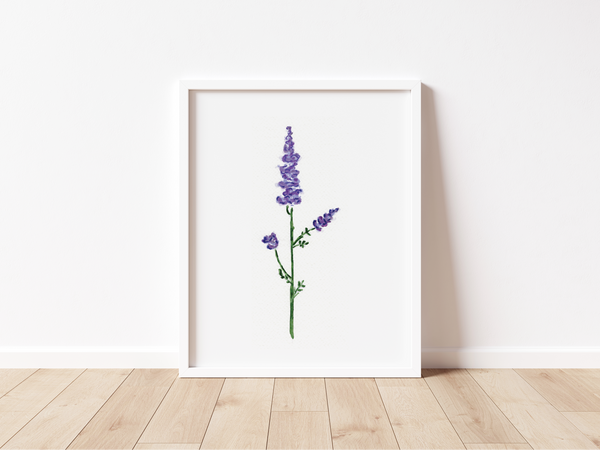 July Birth Month Larkspur Botanical Art Print