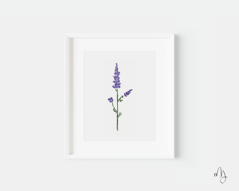 July Birth Month Larkspur Botanical Art Print